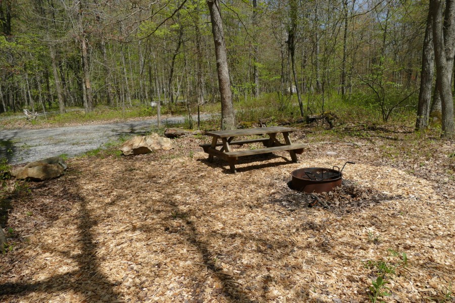 picnic table and fire ring