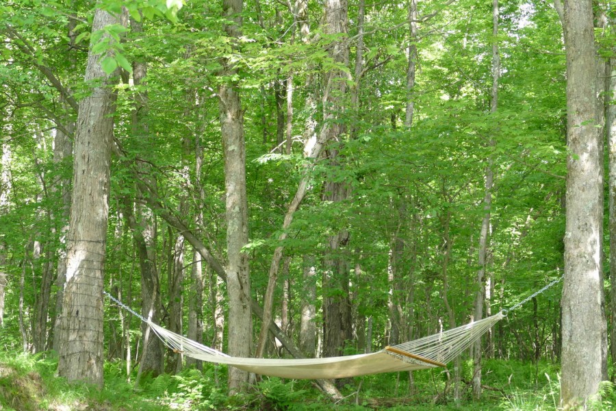 chilling in a hammock