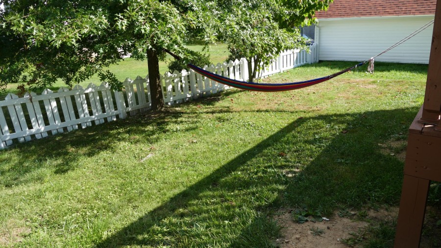Back yard - hammock