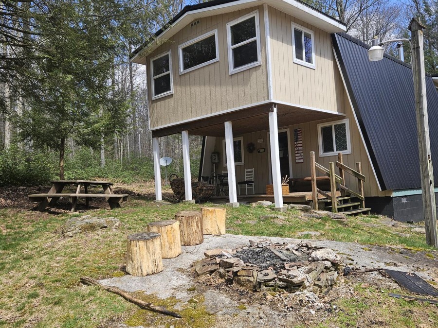 Rear of house - Spring