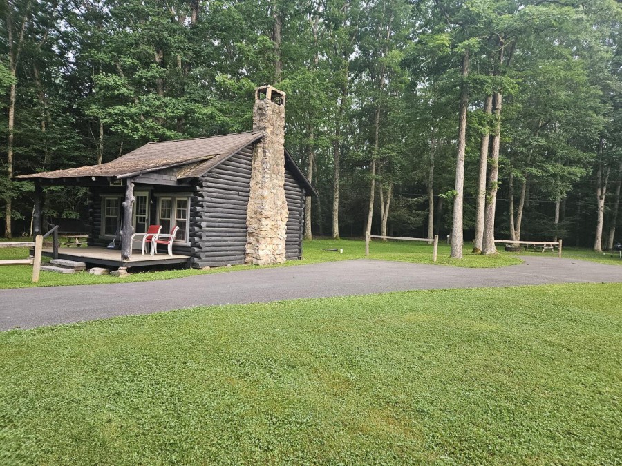 back yard2