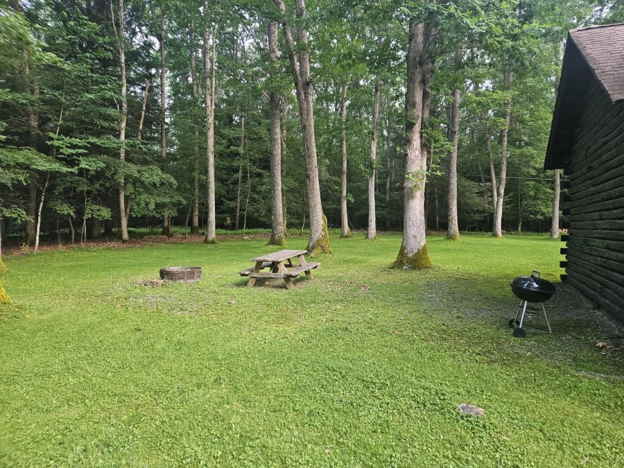 side yard and picnic