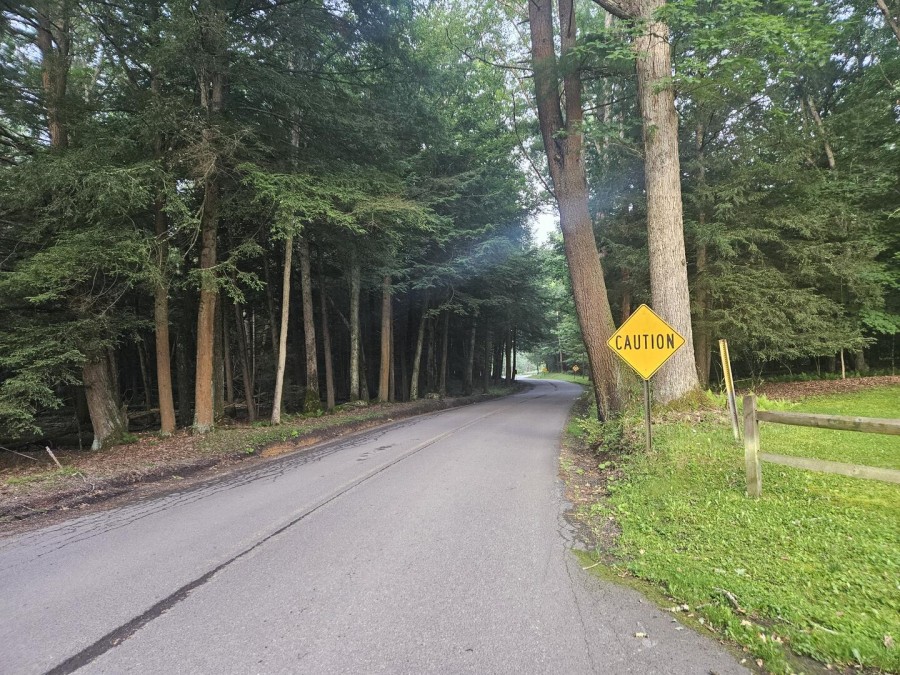 Lane to State Park