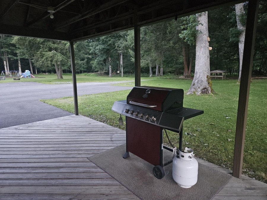 grill and back yard