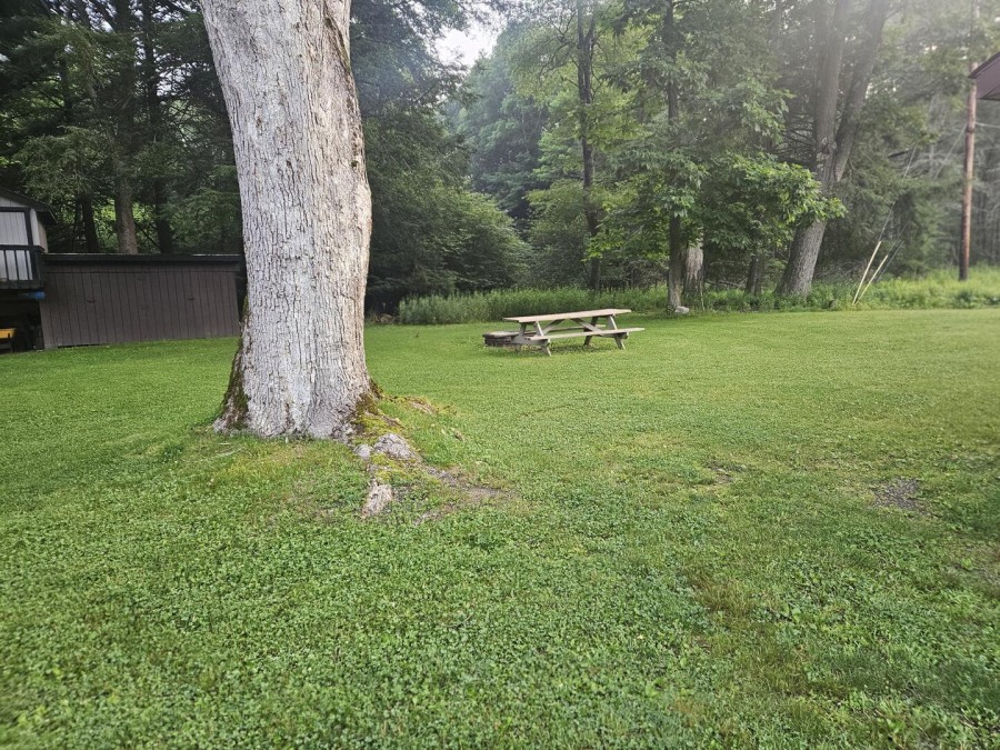 picnic table